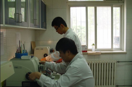病理科日常工作之一—病理切片制备