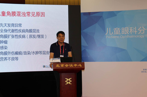 图片33.jpg