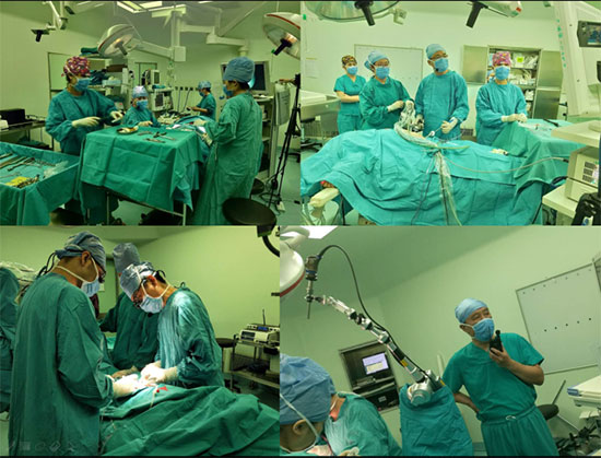 图片27.jpg 图片27.jpg