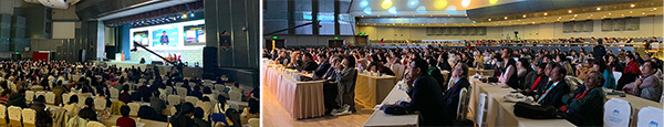 图片12.jpg