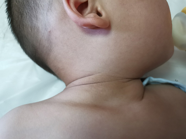 图片19.jpg 图片19.jpg