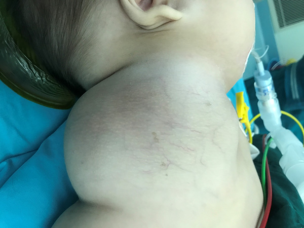 图片21.jpg 图片21.jpg