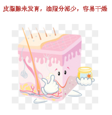 图片12.jpg