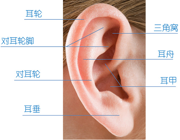 图片4.jpg 图片4.jpg