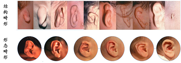 图片5.jpg 图片5.jpg