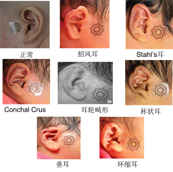 图片6.jpg 图片6.jpg