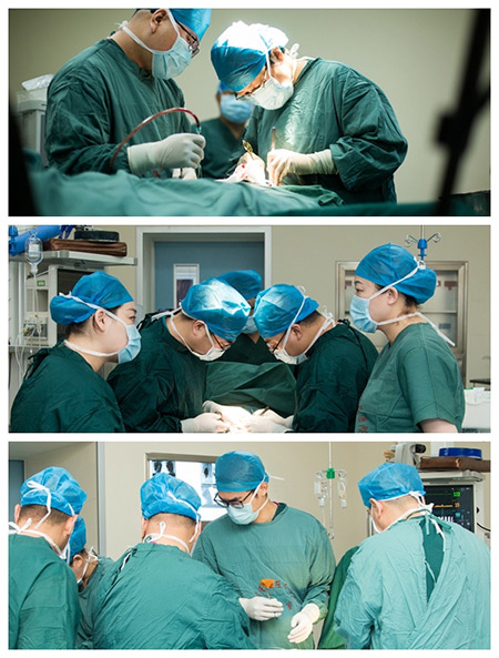 图片4.jpg 图片4.jpg