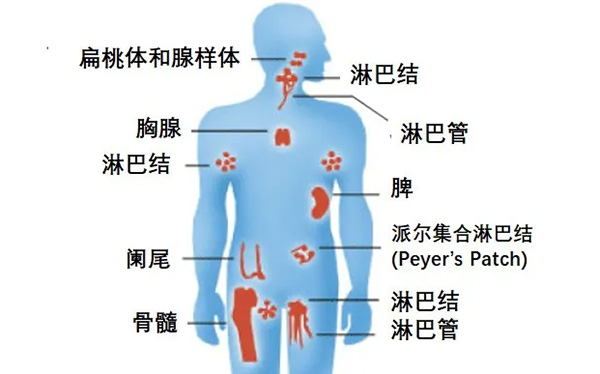 图片56.jpg