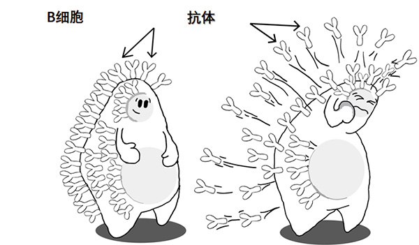 图片60.jpg