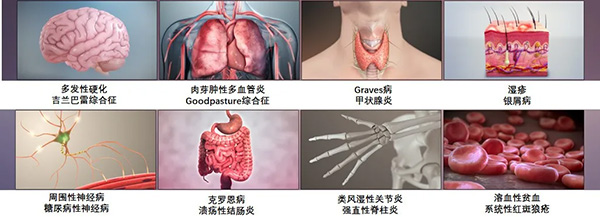 图片62.jpg