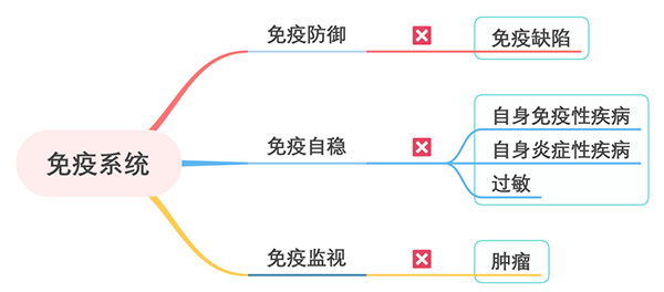 图片64.jpg