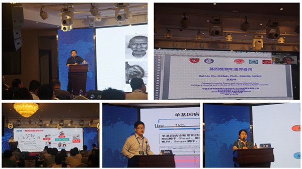 图片8.jpg 图片8.jpg