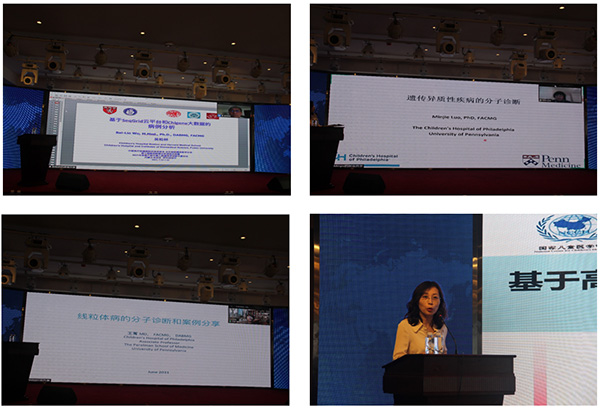 图片14.jpg 图片14.jpg