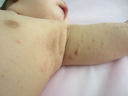 图片14.jpg 图片14.jpg