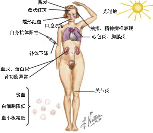 图片13.jpg