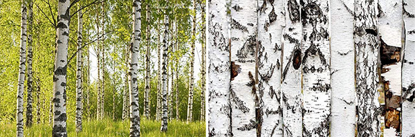 图片10.jpg 图片10.jpg