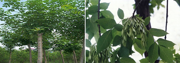 图片14.jpg 图片14.jpg