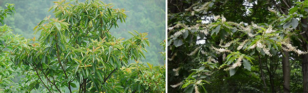 图片16.jpg 图片16.jpg