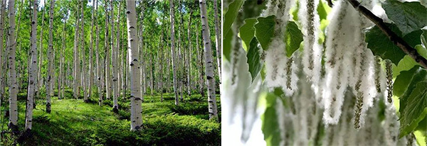 图片18.jpg 图片18.jpg