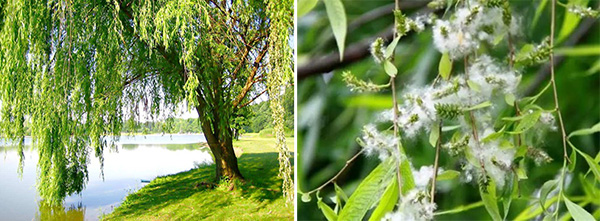 图片20.jpg 图片20.jpg