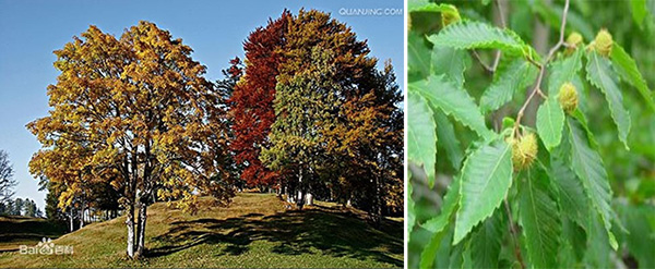 图片22.jpg 图片22.jpg