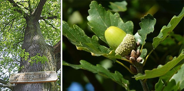 图片24.jpg 图片24.jpg