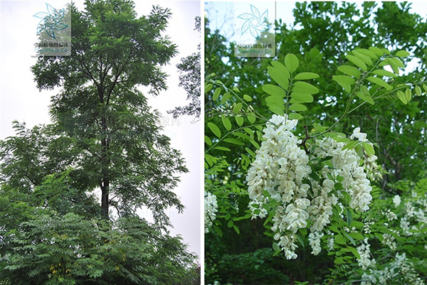 图片32.jpg 图片32.jpg