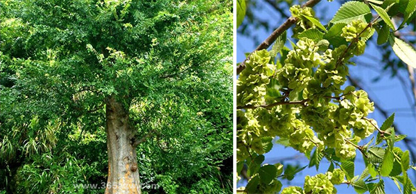 图片34.jpg 图片34.jpg