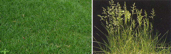 图片38.jpg 图片38.jpg