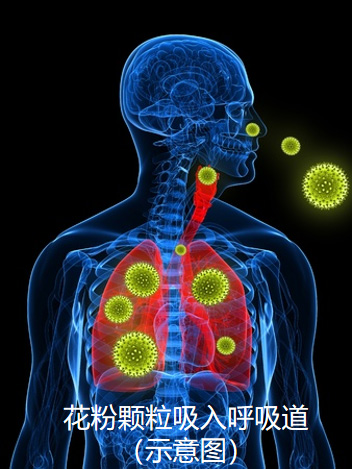 图片41.jpg 图片41.jpg