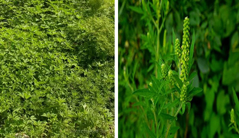 图片10.jpg 图片10.jpg