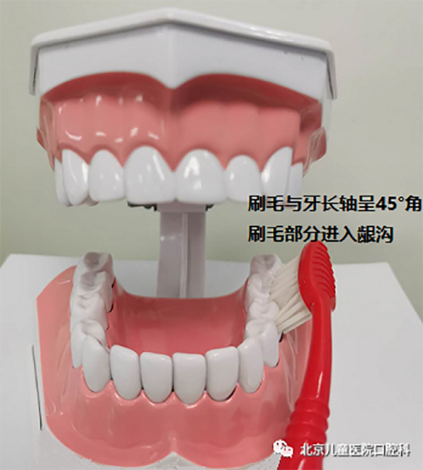 图片 199.png 图片 199.png