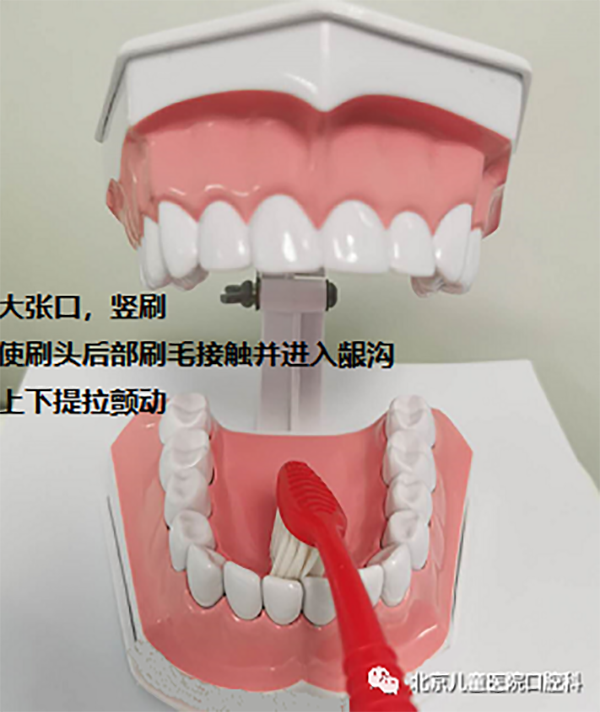 图片 201.png 图片 201.png