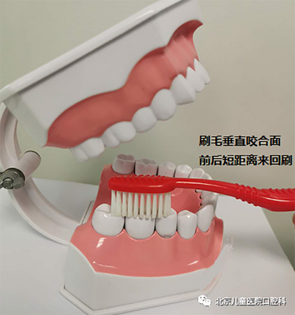 图片 202.png 图片 202.png