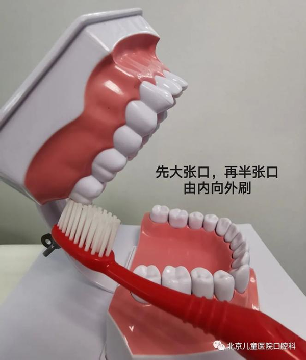 图片 204.png 图片 204.png