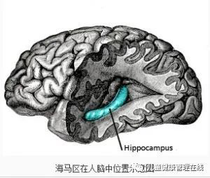 微信图片_20221208145721.jpg 微信图片_20221208145721.jpg