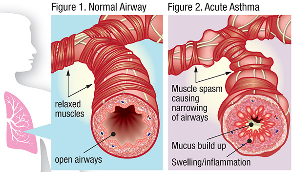 图片4.jpg 图片4.jpg
