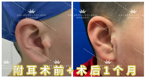 图片43.jpg 图片43.jpg