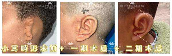 图片44.jpg 图片44.jpg