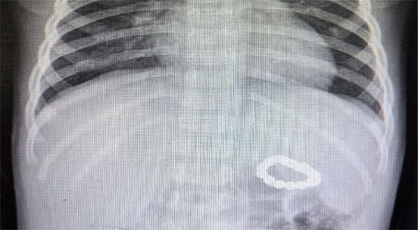 图片77.jpg 图片77.jpg