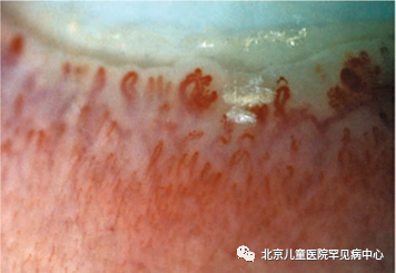 图片27.jpg 图片27.jpg