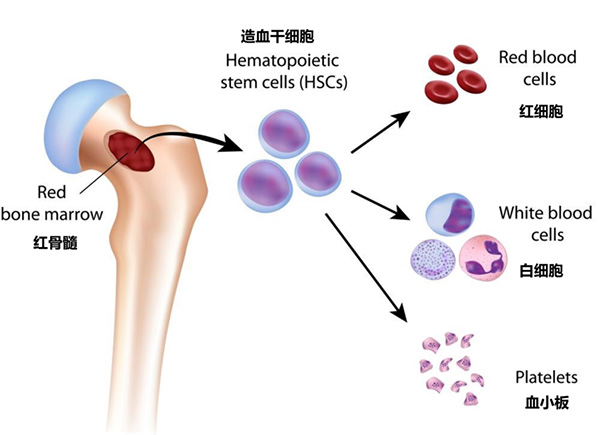 图片37.jpg 图片37.jpg