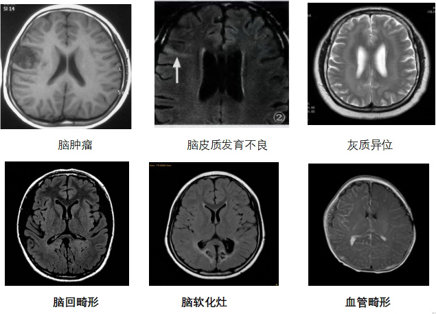 微信截图_20240814111811.jpg