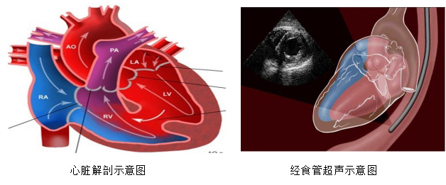 微信截图_20240814142525.jpg 微信截图_20240814142525.jpg