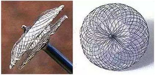 图片11.jpg 图片11.jpg