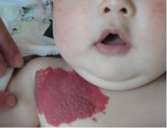 图片8.jpg 图片8.jpg