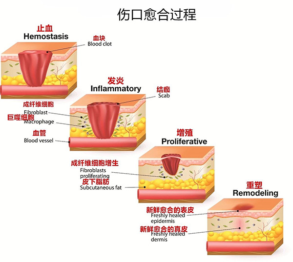 图片37.jpg