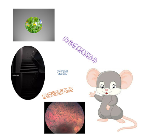 图片34.jpg 图片34.jpg