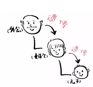 图片35.jpg 图片35.jpg