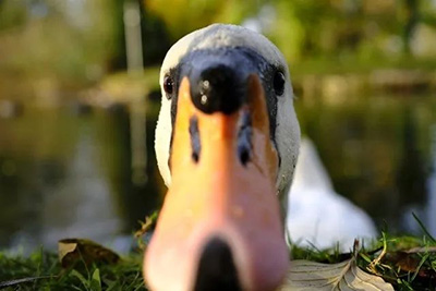 图片7.jpg 图片7.jpg